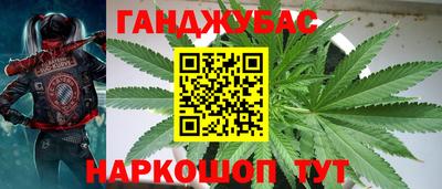 мдпв Новокубанск