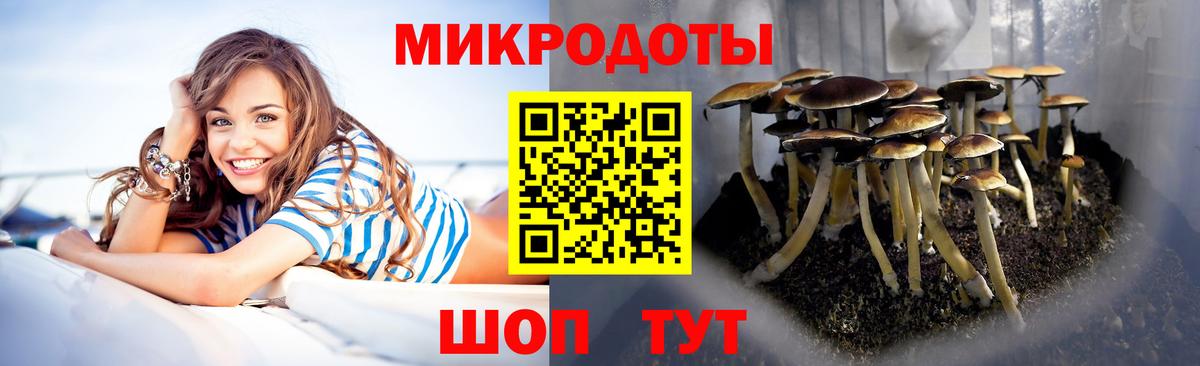 Тара  Псилоцибиновые грибы Cubensis  Галлюциногенные грибы MAGIC MUSHROOMS  Вход с VPN 